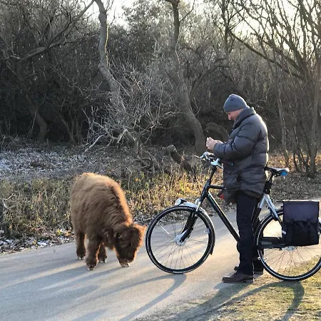 Отель типа 